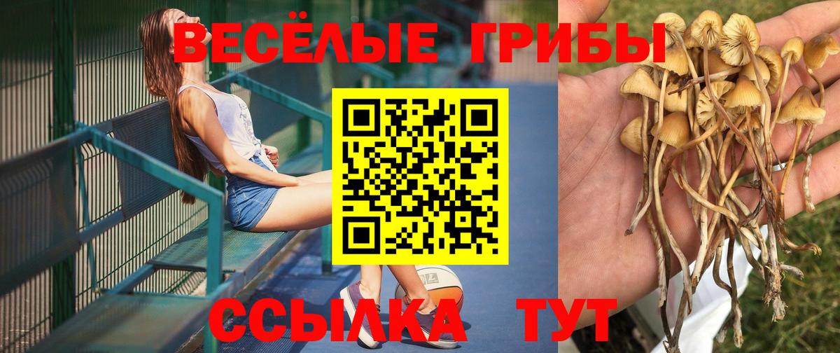 Галлюциногенные грибы мицелий Иваново