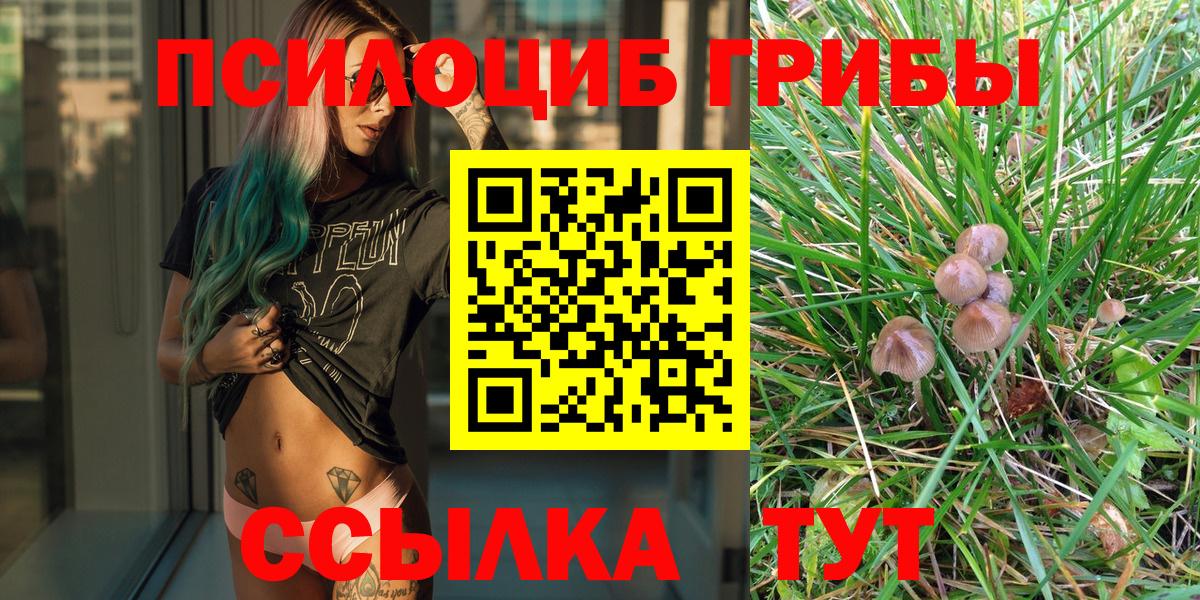 Иваново  Псилоцибиновые грибы Cubensis  Вход с VPN 